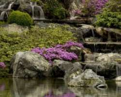 The garden consisted of various sections like The Chinese Garden, The Japanese Garden, The First Nations Garden, and The Alpine Garden.